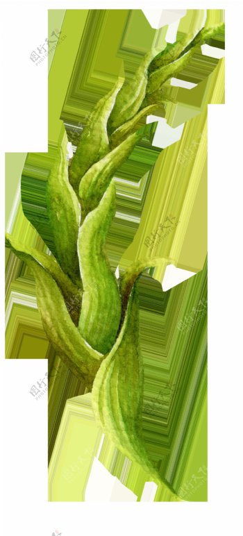 多层植物树叶卡通透明素材