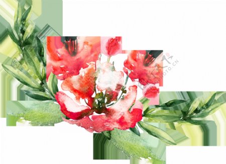 卡片装饰花卉卡通透明素材