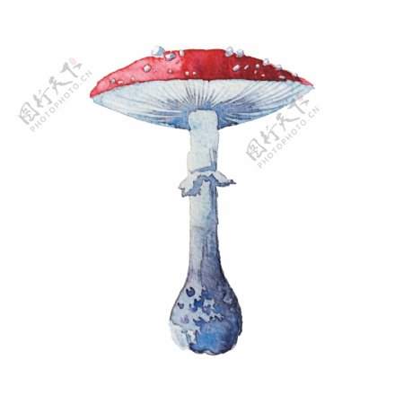参天蘑菇卡通透明素材