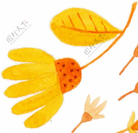橙黄花蕾卡通透明素材
