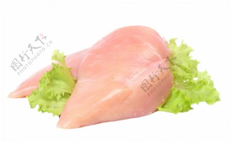 新鲜鸡肉食物素材蔬菜生菜动物