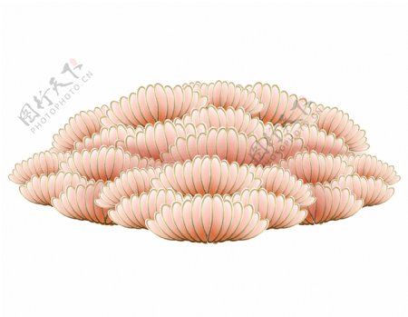 粉色珊瑚群插画png元素