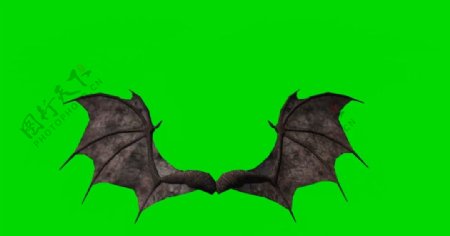 蝙蝠翅膀绿屏抠像视频素材