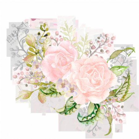 淡粉色花卉手绘两朵png透明素材