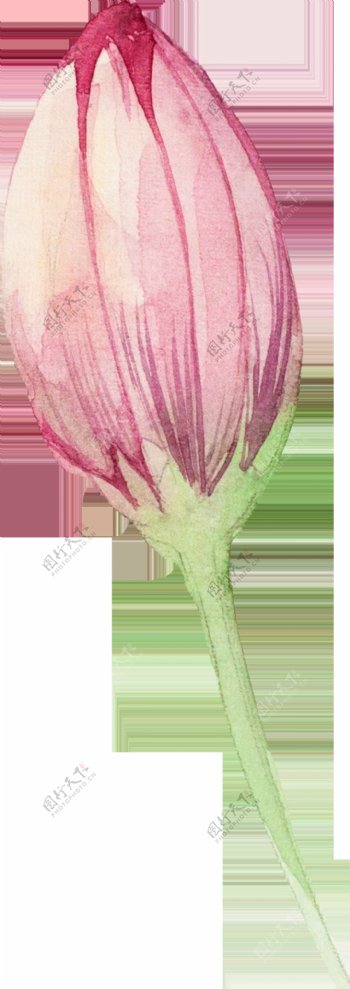 粉色浪漫花卉卡通透明装饰合集