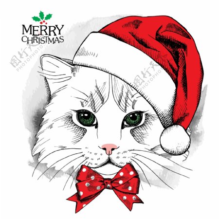 戴圣诞帽子的小猫插画