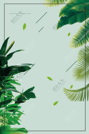 棕榈叶子春季海报背景