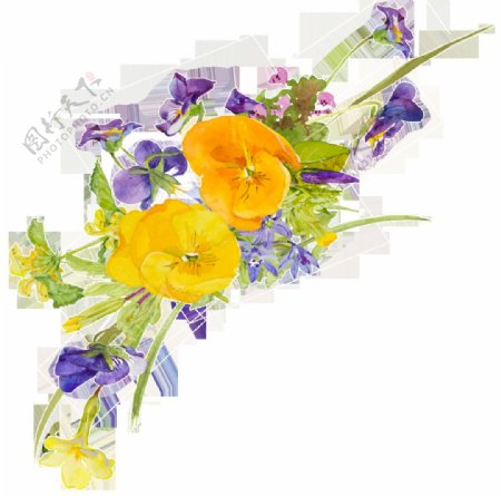 黄紫色花草花束装饰素材