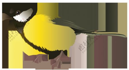 可爱黄色圆滚滚小鸟装饰元素