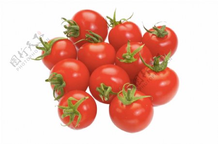 新鲜红色果蔬圣女果小番茄
