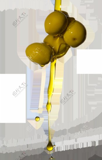 小清新橄榄油元素