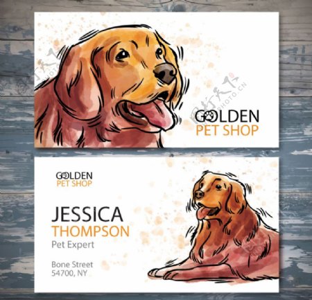 创意彩绘金毛犬宠物店名片卡片