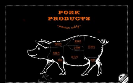 猪肉分解图