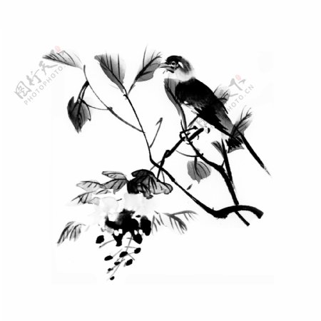 手绘中国风水墨植物小鸟