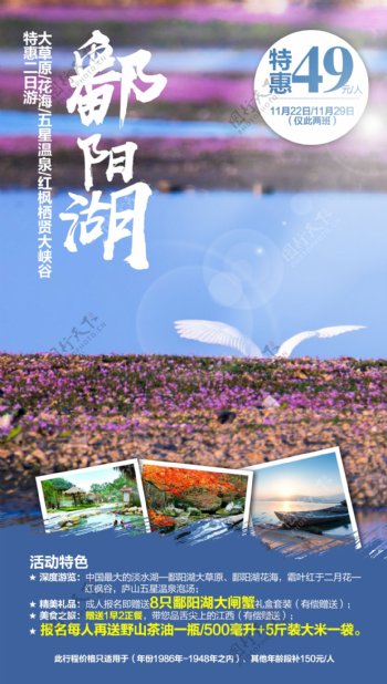 鄱阳湖海报