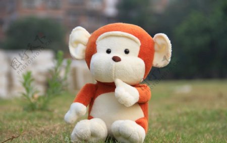 毛绒玩具公仔娃娃摄影小猴子
