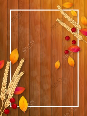 秋天丰收麦子落叶背景