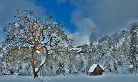 冬季山川雪景