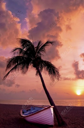 棕榈树小船海滩日落