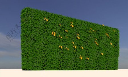 植物绿植墙模型