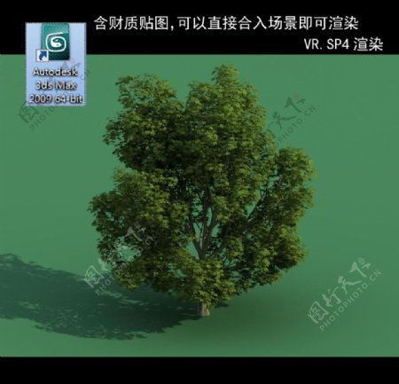 3D灌木模型3D植物模型绿