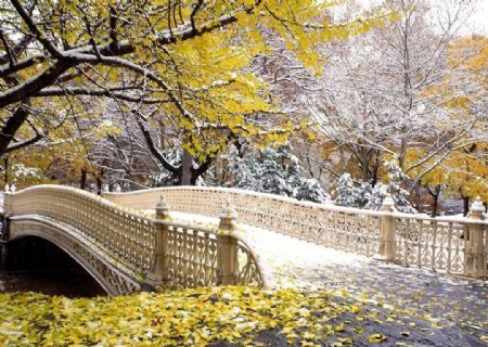 秋天的桥