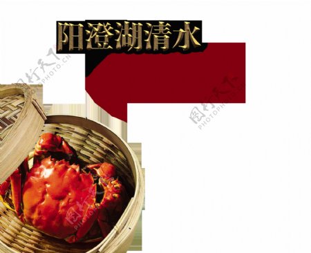 阳澄湖清水养殖大闸蟹宣传促销艺术字设计