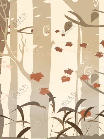 秋天白桦林的落叶广告背景