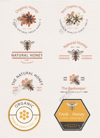 蜜蜂主题设计图标