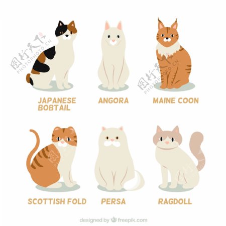 6款可爱猫咪设计矢量素材