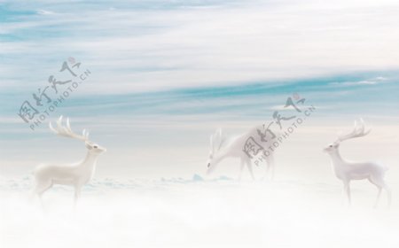 北欧梦幻麋鹿手绘天空背景墙装饰