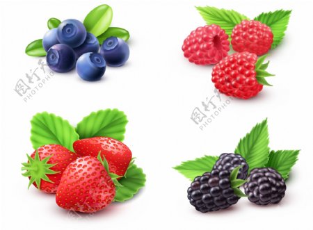 蓝莓草莓野果