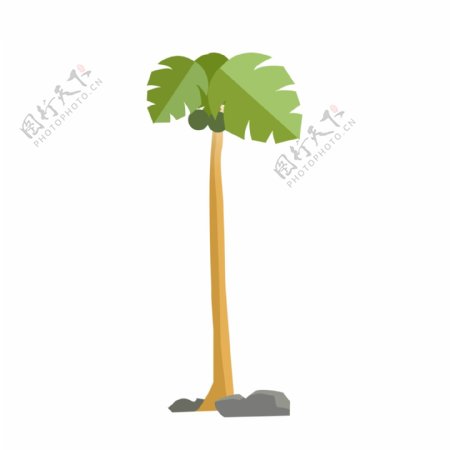 椰子树简约椰子树植物