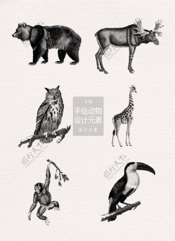 手绘动物插画设计元素