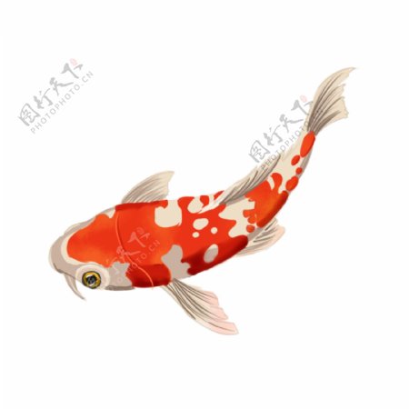 可商用红色喜庆可爱中国风手绘金鱼装饰图案