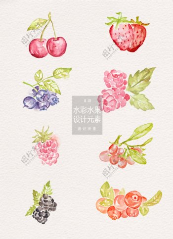 水彩手绘水果设计元素