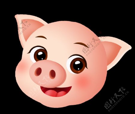 2019猪年可爱小猪头像设计