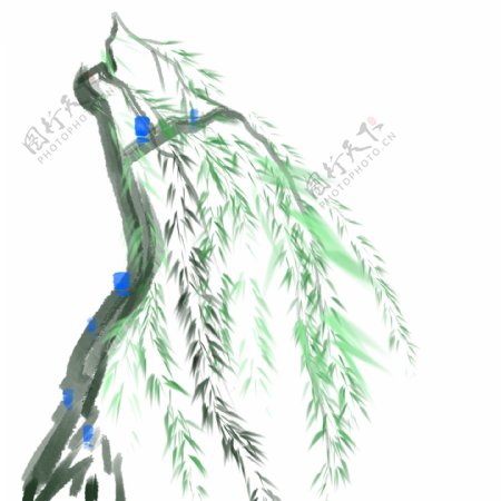 水墨绿色的柳树插画