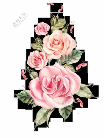 精美的手绘玫瑰花元素素材
