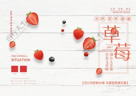 健康饮食草莓水果画册封面