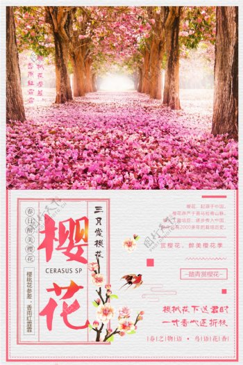 2018粉色创意春季旅游赏樱花宣传海报