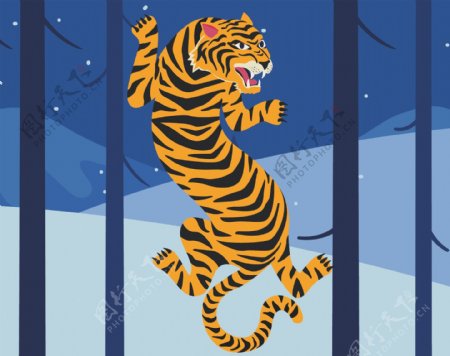 雪山里狂野的老虎