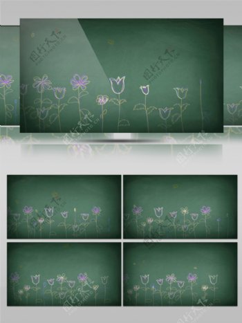 模拟手绘花朵绽放视频素材