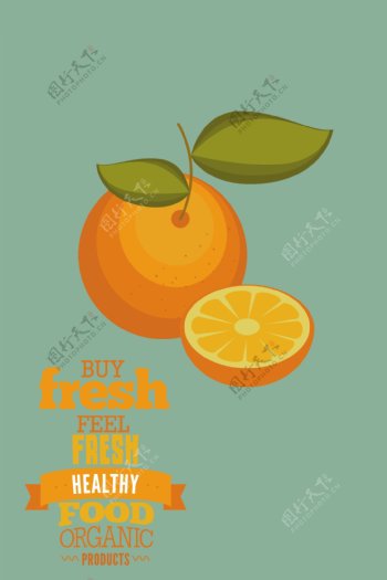 新鲜健康的橙子矢量ai素材