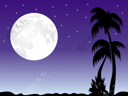月亮热带椰子树风景素材