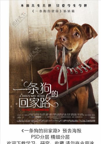 电影一条狗的回家路分层竖版海报