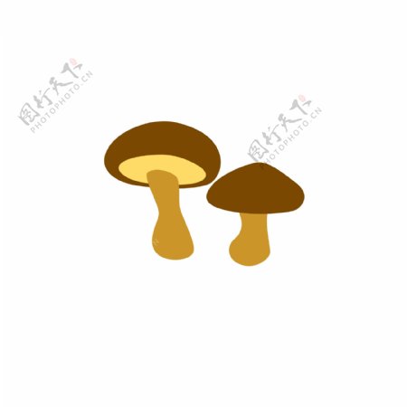 两朵小蘑菇鲜蘑菇美味食品