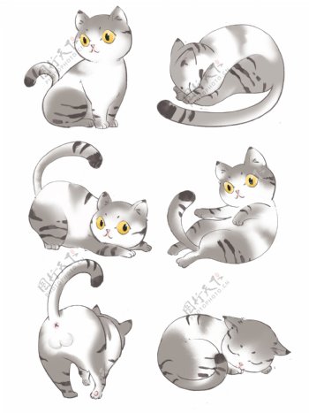 中国风水墨彩绘动物可爱猫