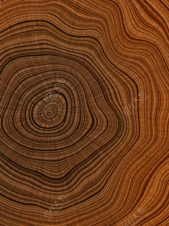 树木年轮木纹质感背景