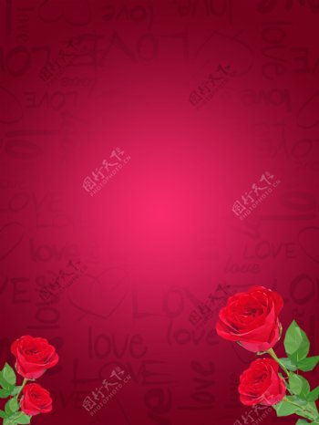 玫红色玫瑰浪漫情人节背景设计